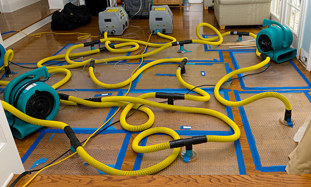 Professional Water Damage Repair technician working in Easton, PA